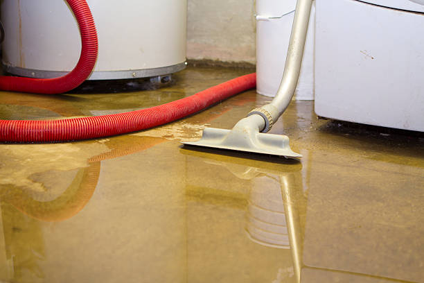 Best Water damage cleanup near me  in Woodlake, VA