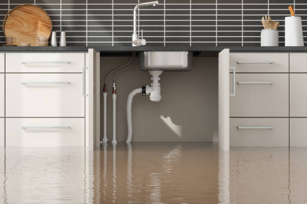 Best Residential water damage restoration  in Woodlake, VA