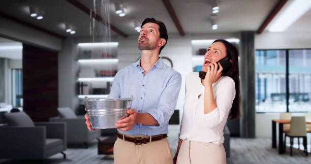 Best Mold removal after water damage  in Woodlake, VA